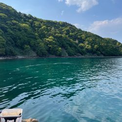 津久見リベンジ