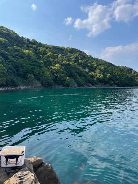 津久見リベンジ