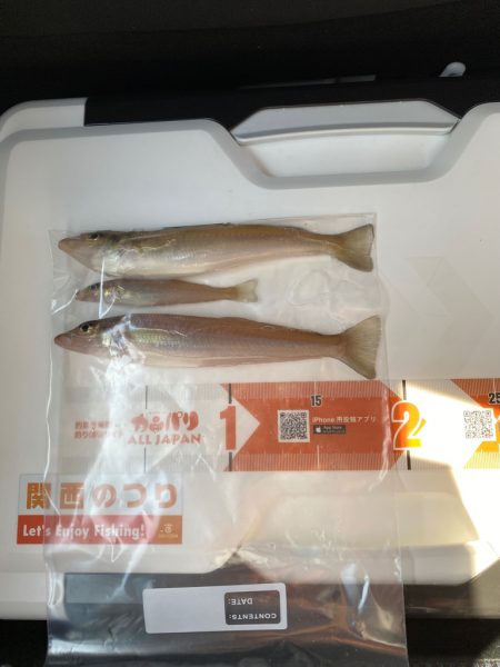 ゴールデンウィーク後半　淡路島へ、キス釣り…