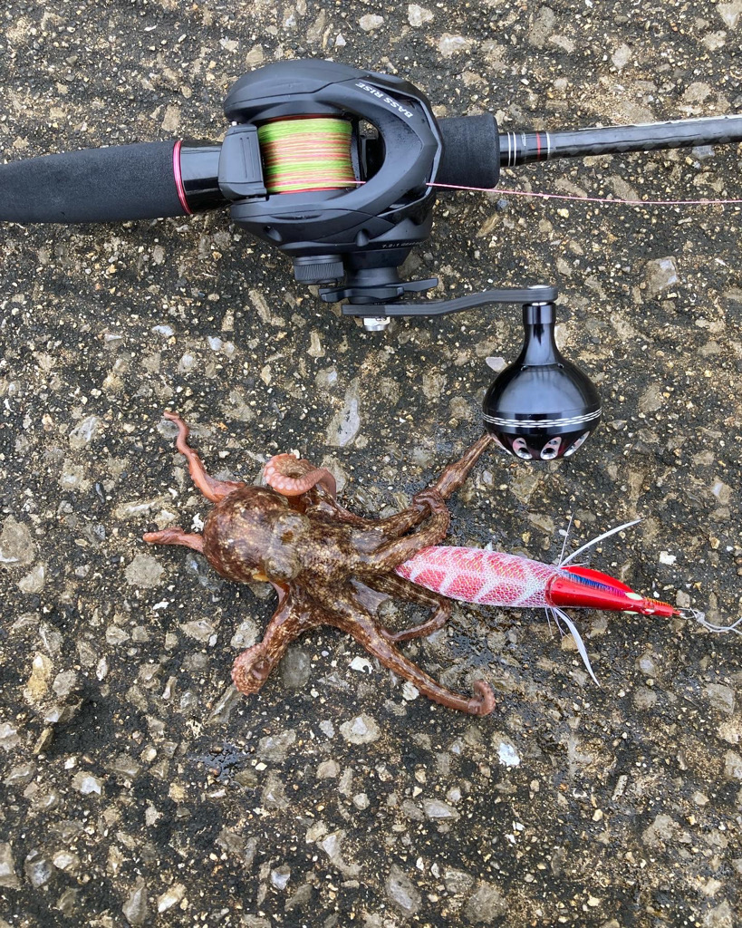 ⭐︎6-3.4-2.3-5上昇傾向