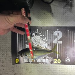 初ボートアジング