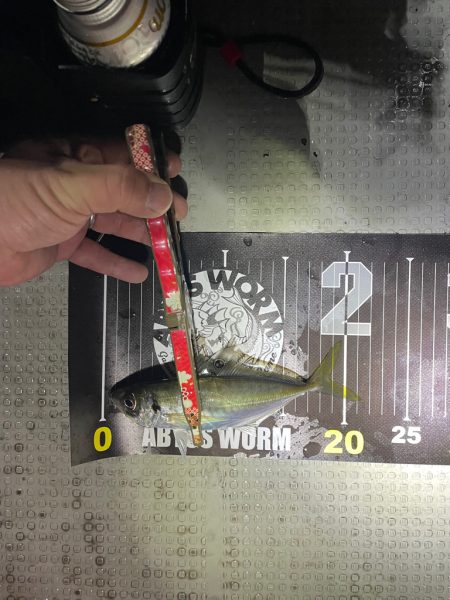 初ボートアジング