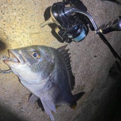 淀川ブリームゲーム