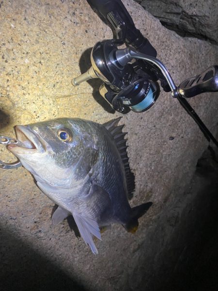 淀川ブリームゲーム