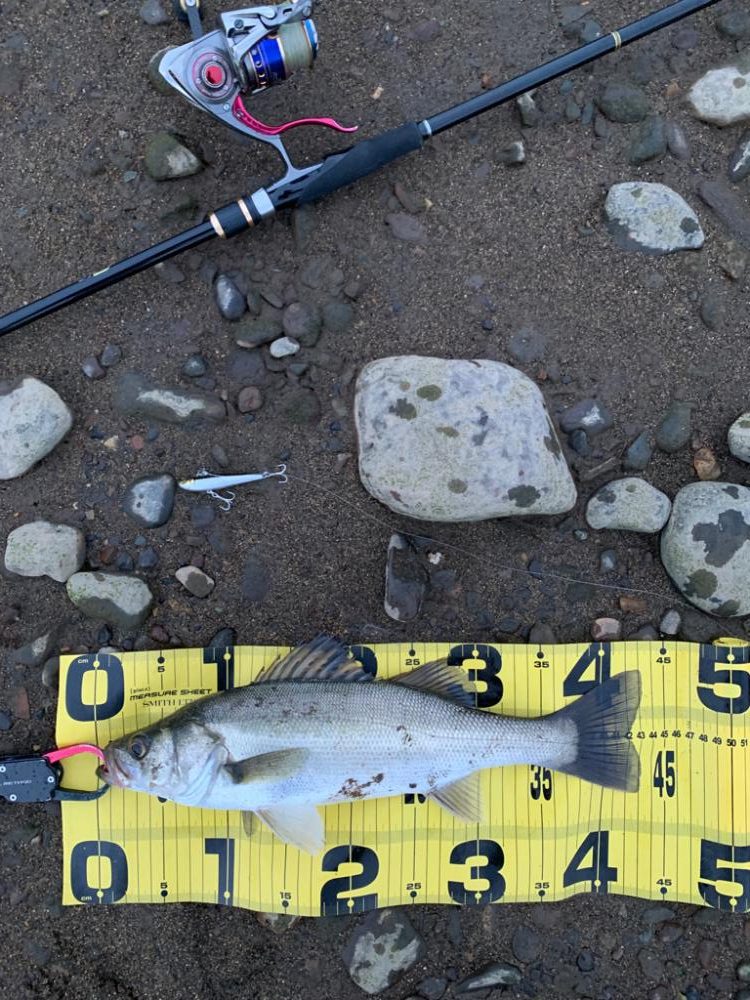 ハクパターン攻略