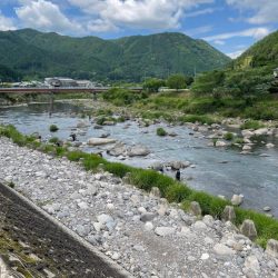 三隈川鮎解禁