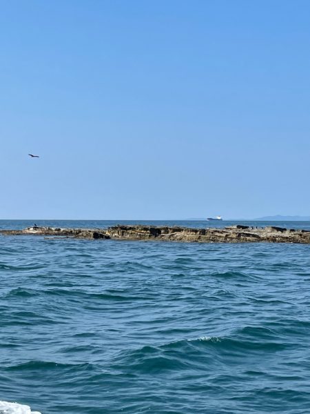 久しぶりのクロ釣り