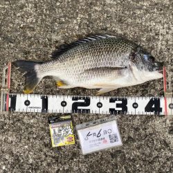 微妙なアタリ DAY1