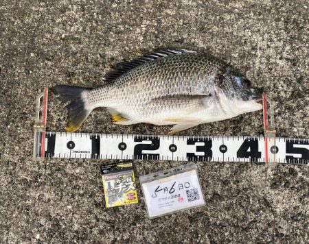 微妙なアタリ DAY1