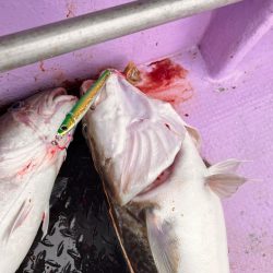 オフショアジギング