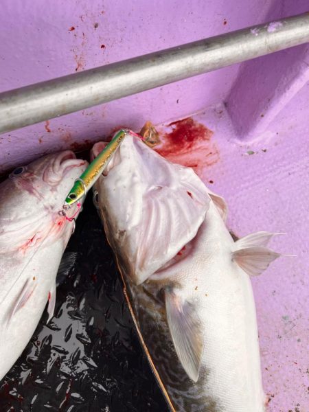 オフショアジギング