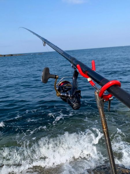 春イカですが⁉️