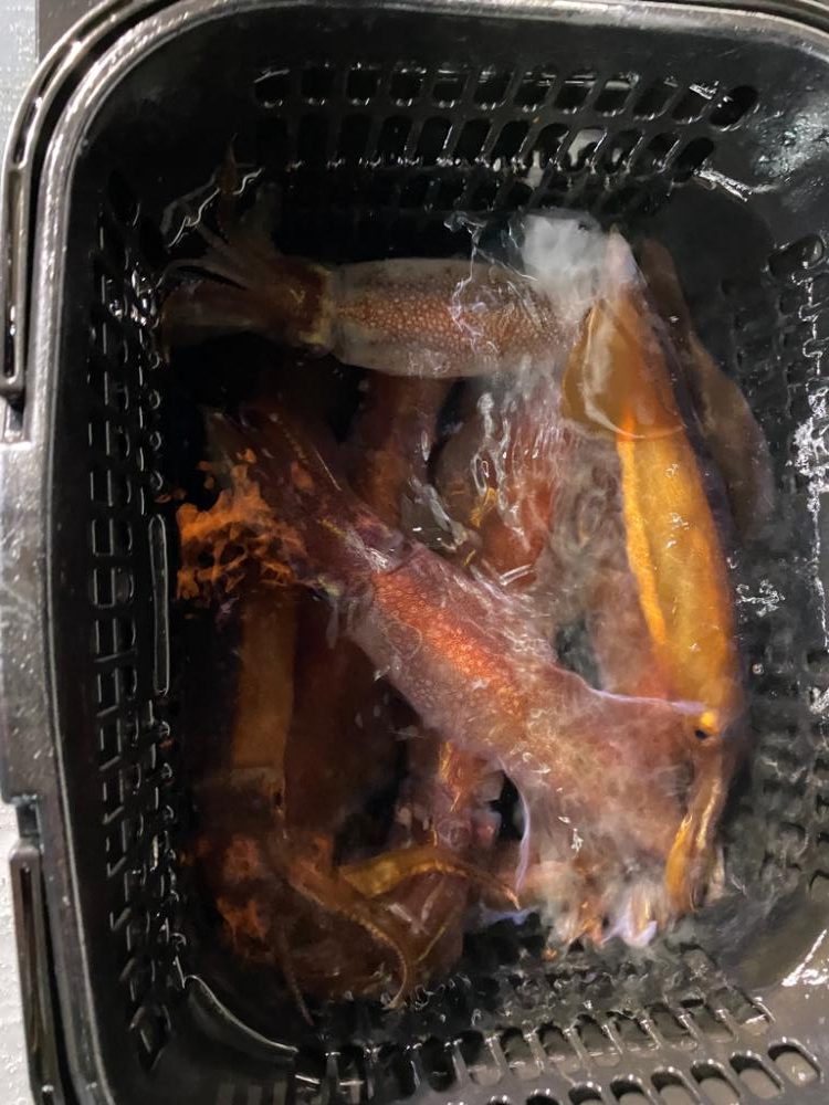 イカメタルで大剣狙い