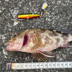 ジャックアイマキマキでボトムを『攻める』