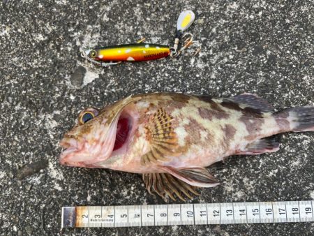 ジャックアイマキマキでボトムを『攻める』