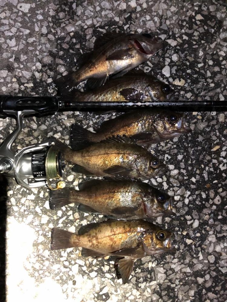 プラグでも、ワームでも