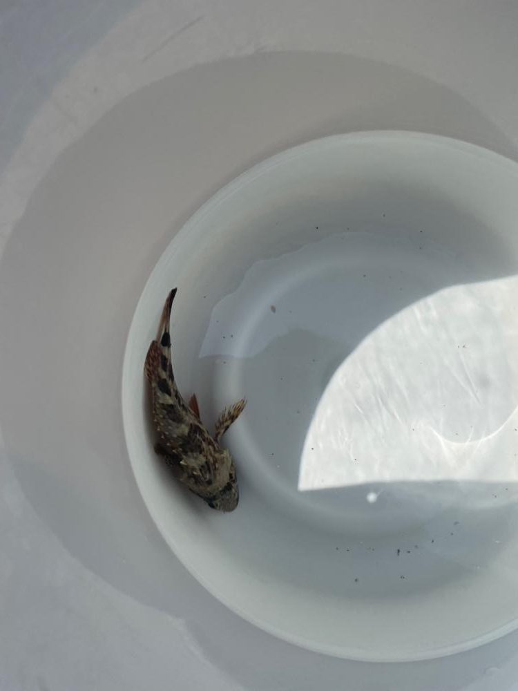 キスはまだ早かったかな？