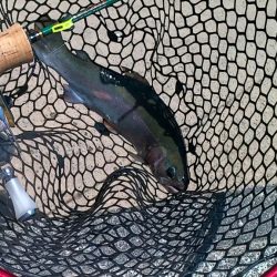 炎天下トラウト爆釣！