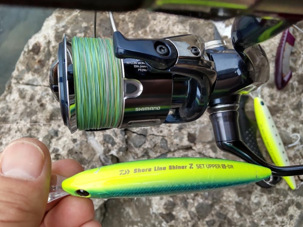 ショアプラッキング