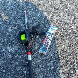 五目釣り大会に参加