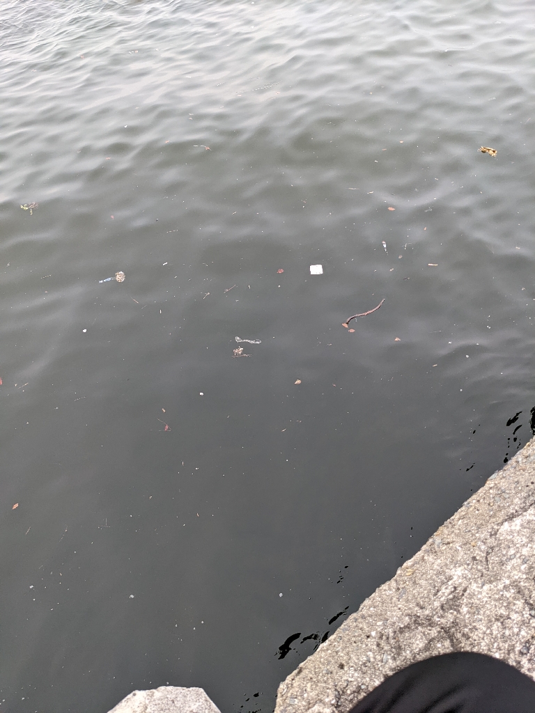 武庫川一文字タコ