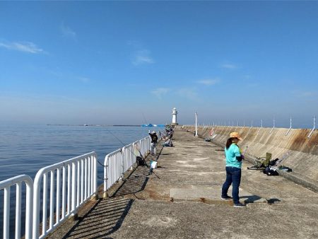南港うみ釣り園 護岸で☆