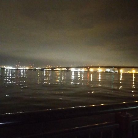 ウキ釣り、ショアジギングまたも不発