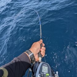 鷹巣沖　マダイ釣り