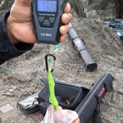 ロックショアマグロ&カンパチ