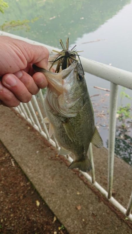 パワーフィネスでプリメス