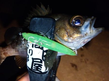 makopenでメバリング