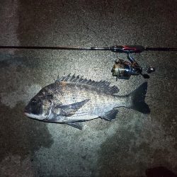 まさかの外道Σ(゚д゚;)