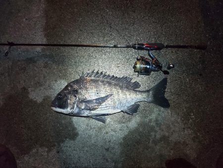 まさかの外道Σ(゚д゚;)