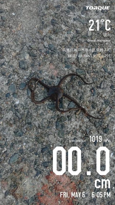 アジュール舞子