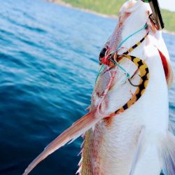 レンタルボート