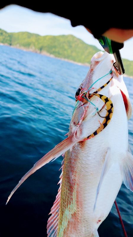 レンタルボート