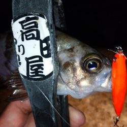 今夜はオレンジ