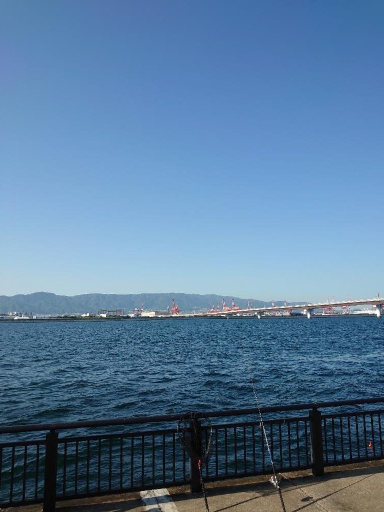 ショアジギング