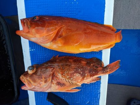 潮が流れず。。。