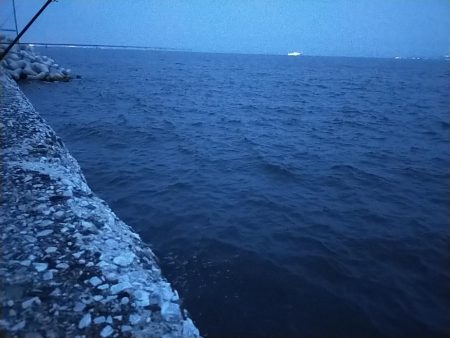 陸っぱりタチウオ