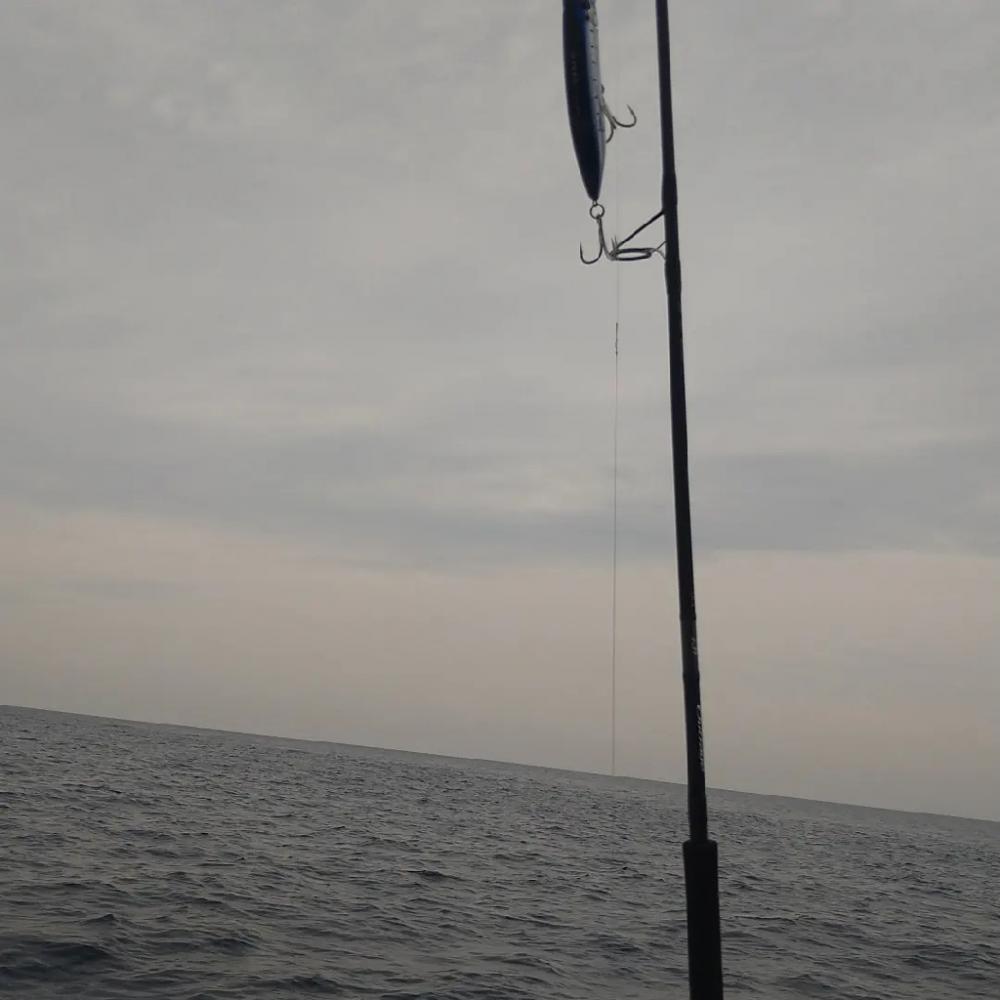 初キハダキャスティング