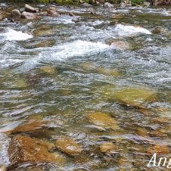 引原本流にて良型連発