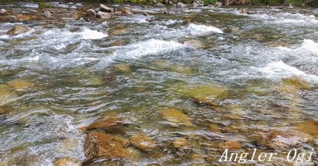 引原本流にて良型連発