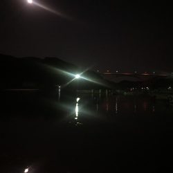 いつも時合いは突然にw。