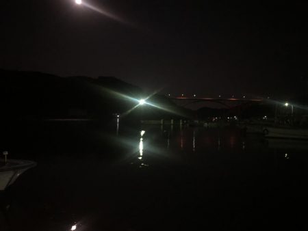 いつも時合いは突然にw。