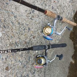 プチsalt water game