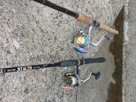 プチsalt water game