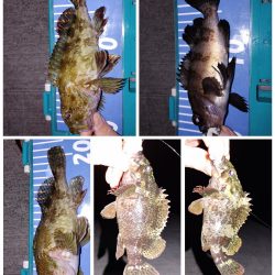 おさえのフロート