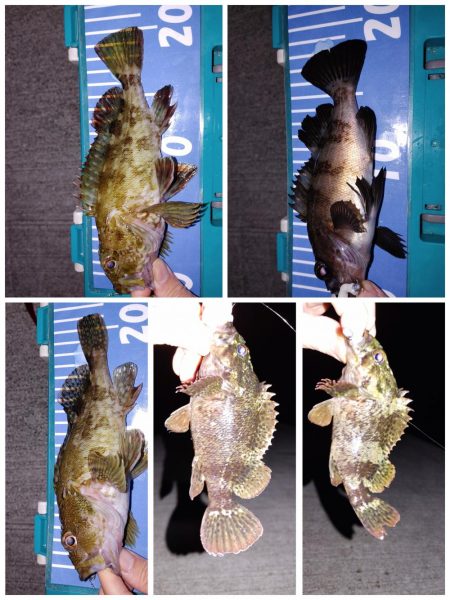 おさえのフロート