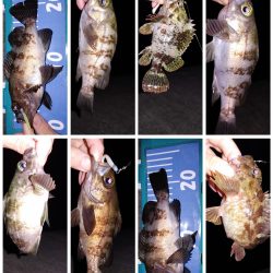 おさえでジグ単、フロート